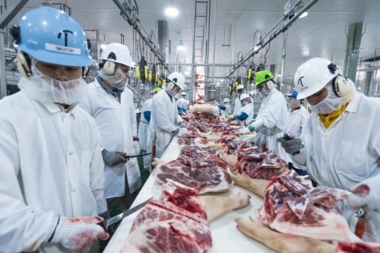 LLEGARÁN INSPECTORES DE TAIWÁN PARA FISCALIZAR FRIGORÍFICOS