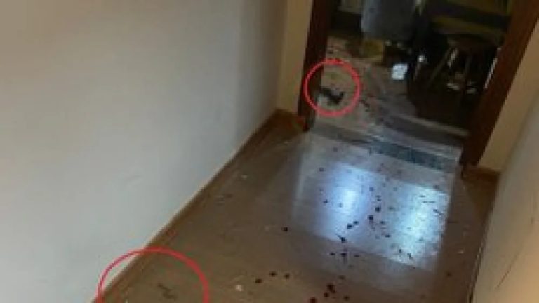 HALLAN EN CASA DE LALO GOMES MALETIN CON INORME DE LA POLICIA BRASILEÑA.