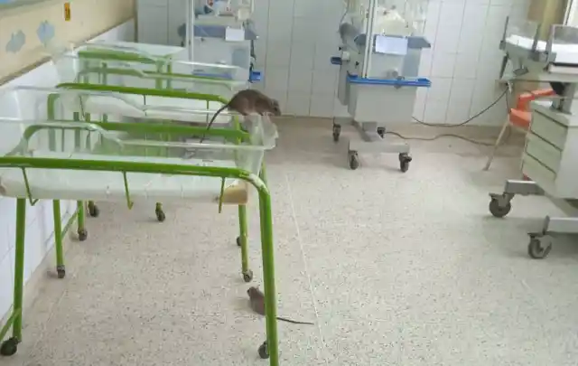 HOSPITAL DE ITAUGUÁ CAE A PEDAZOS POR SENSIBILIDAD FALSA DEL PRESIDENTE PEÑA