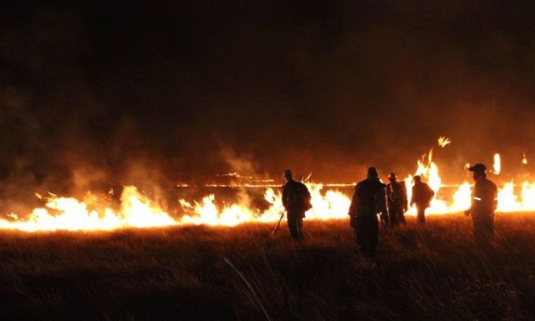 FUEGO YA CONSUMIÓ MÁS DE 10.000 HECTÁREAS EN CERRO CHOVORECA