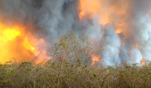 CONTINÚAN LOS TRABAJOS PARA CONTROLAR GRAN INCENDIO EN EL CHACO