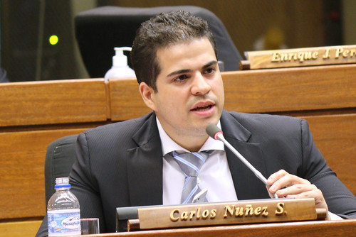 DIPUTADO CARLOS NÚNEZ SOLICITA INFORMES AL MINISTERIO DE SALUD Y A LA MUNICIPALIDAD DE ASUNCIÓN