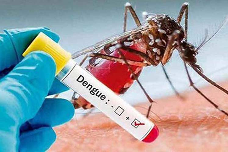 Dengue en Paraguay: 819 casos confirmados en el periodo inter epidémico